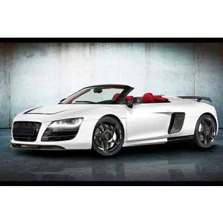 MNSR Carbon Body Kit (for Spyder) photo 3