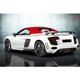 MNSR Carbon Body Kit (for Spyder) photo 2