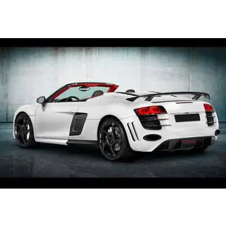 MNSR Carbon Body Kit (for Spyder) photo 4