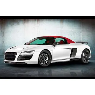 MNSR Carbon Body Kit (for Spyder) photo 1