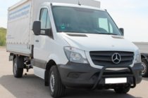 Mercedes Sprinter W906 2006–2018 Bull Bar WT003 (black) photo 1