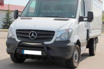 Mercedes Sprinter W906 2006–2018 Bull Bar WT003 (black) photo 2