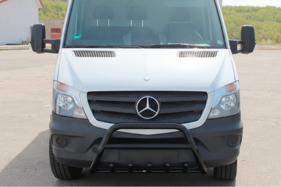 Mercedes Sprinter W906 2006–2018 Bull Bar WT003 (black) Photo 3