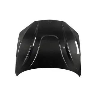 Carbon Fiber Hood V1 photo 1