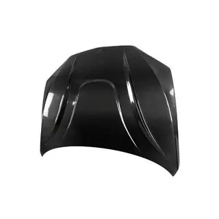 Carbon Fiber Hood V1 photo 3