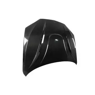 Carbon Fiber Hood V1 photo 2