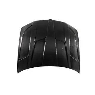 Carbon Fiber Hood V1 photo 1