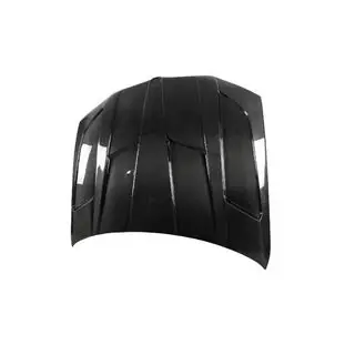 Carbon Fiber Hood V1 photo 3