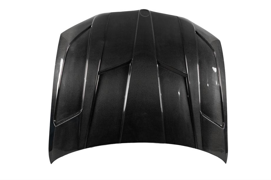 BMW X4 G02 2018- Carbon Fiber Hood V1 Image