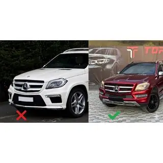 GT Panamericana Front Grille (for GL Low) photo 2