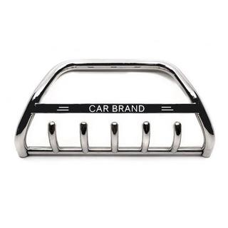 Bull Bar (Stainless Steel)