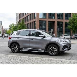 Side Steps Tayga V2 (2 pcs, Aluminum) photo 1