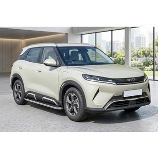 Side steps Tayga Grey (2 pcs, aluminum) BYD Atto 2/Yuan Up 2024– photo 1