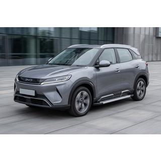 Side Steps Vision New Grey (2 pcs, Aluminum) BYD Atto 2/Yuan Up 2024– photo 1