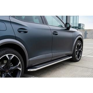 Side Steps Maydos V2 (2 pcs, Aluminum & Stainless Steel) photo 1