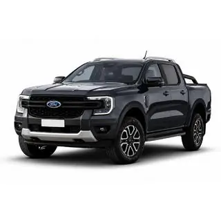 OEM Grey Roof Rails (ABS Plastic, Adhesive Mount) photo 1