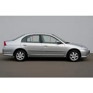 Exterior window trim stainless steel (4 pcs)
