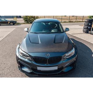 Hood V3 (Carbon)