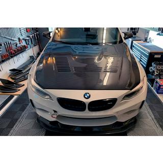 Hood V4 (Carbon Fiber)
