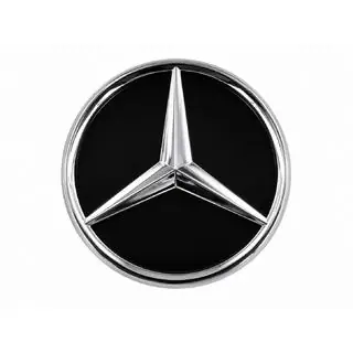 Front emblem under glass (for facelift) photo 1
