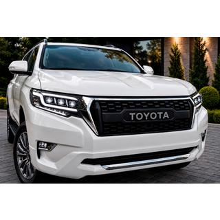 Radiator Grille 2017↗ (OffRoad) photo 1