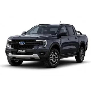 Black OEM roof rails (ABS plastic, adhesive mounting) photo 1