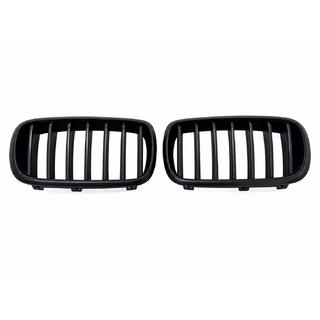 Kidney Grilles 1 Bar (matte black) photo 2