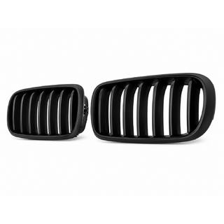Kidney Grilles 1 Bar (matte black) photo 3