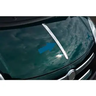 Hood strip (stainless steel) photo 1