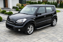 Kia Soul I 2008-2013 Side Steps BlackLine (2 pcs, Aluminum) photo 1