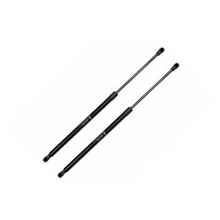 Hood gas struts (2 pcs)