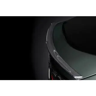 V1 Spoiler (2024+, Carbon Fiber)