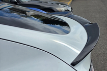Tesla Model Y 2020- Fast Spoiler (for 2020-2024) photo 1