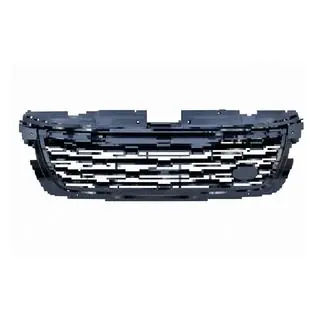 Black radiator grille (2025)