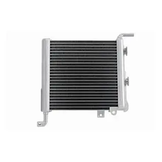 Left side radiator