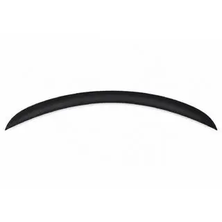 V5 Spoiler (Matte Carbon) photo 1