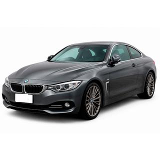 Front lip spoiler DPT (for Base, gloss black) BMW 4 Series F32/F33/F36 2012-2020 photo 1