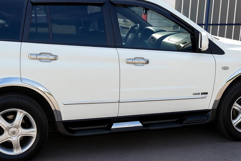SsangYong Action 2005-2018 Chrome Door Handle Covers (4 pcs, plastic) Image
