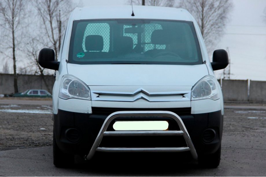 Citroen Berlingo 2008-2018 Bull Bar WT022 (Stainless Steel) Photo 4