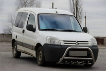 Citroen Berlingo 1996-2008 Bull Bar WT003 Stainless Steel photo 3