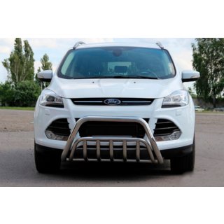 Bull Bar WT002 (Stainless Steel) photo 1