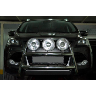 Bull Bar WT018 (Stainless Steel) photo 1