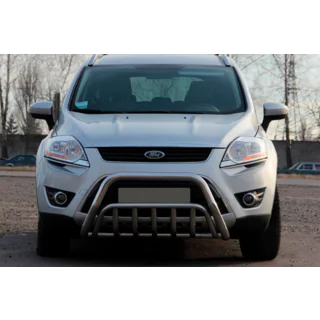 Bull Bar WT002 (Stainless Steel) photo 1