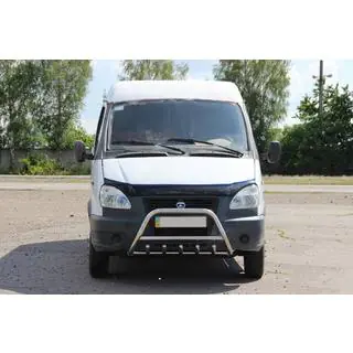 Bull Bar WT003 (Stainless Steel) photo 2