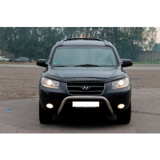 Bull Bar WT007 (Stainless Steel) photo 3