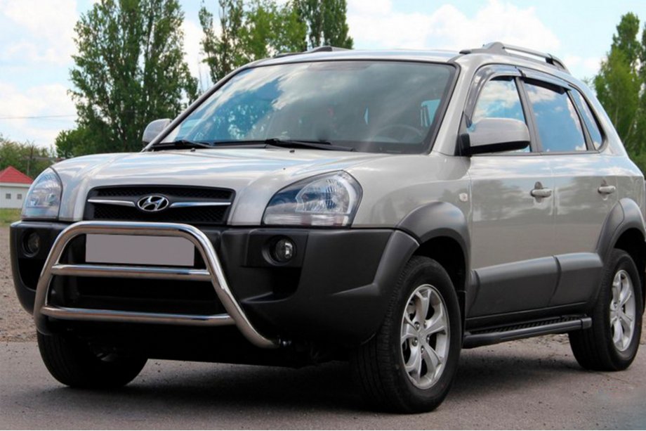 Hyundai Tucson JM 2004- Bull Bar WT022 (Stainless Steel) Photo 1