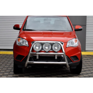 Bull Bar WT018 (Stainless Steel) photo 3