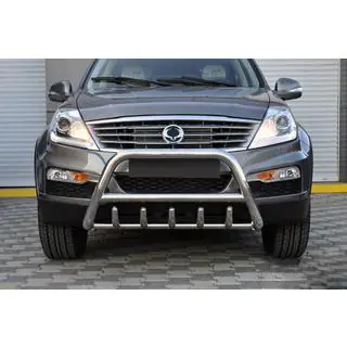 Bull Bar WT003 (Stainless Steel) SsangYong Rexton I 2001-2017 photo 3