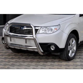 Bull Bar WT018 (Stainless Steel) photo 2