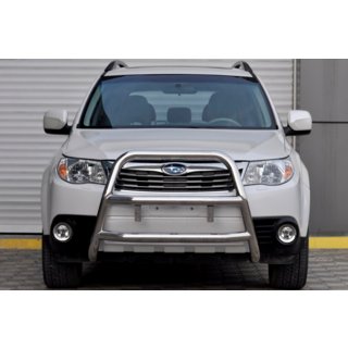 Bull Bar WT018 (Stainless Steel)